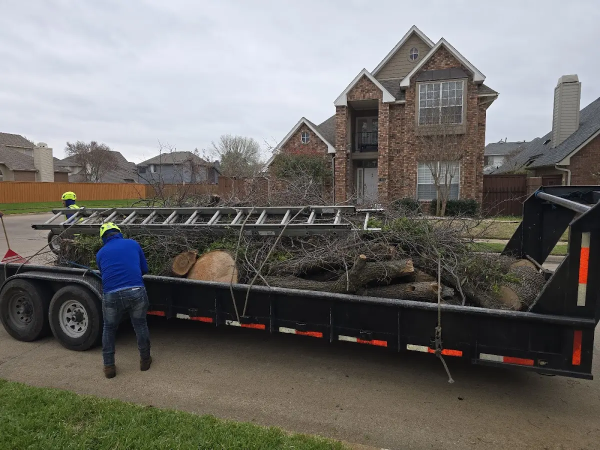 Expert Lot Clearing with proper safety equipment in Buffalo